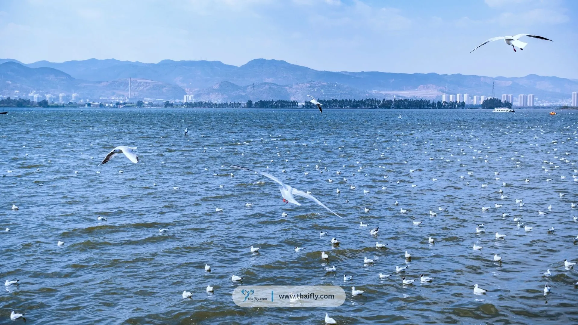 Dianchi Lake